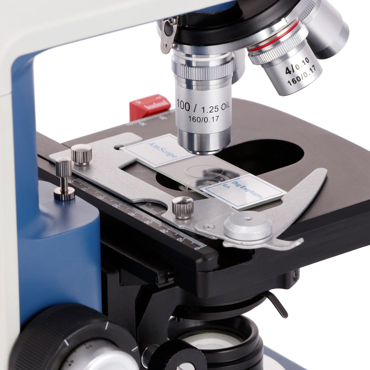 Microscope Compound 40X - AmScope 40X-2500X 배율 학생용 쌍안 복합