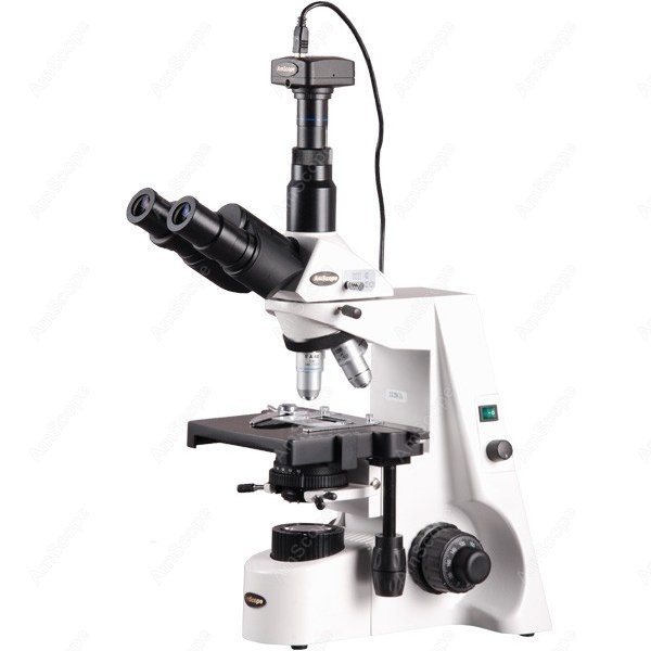 Microscope Compound 40X - AmScope 40X-2500X 인피니티 콜러 생물학적 복합