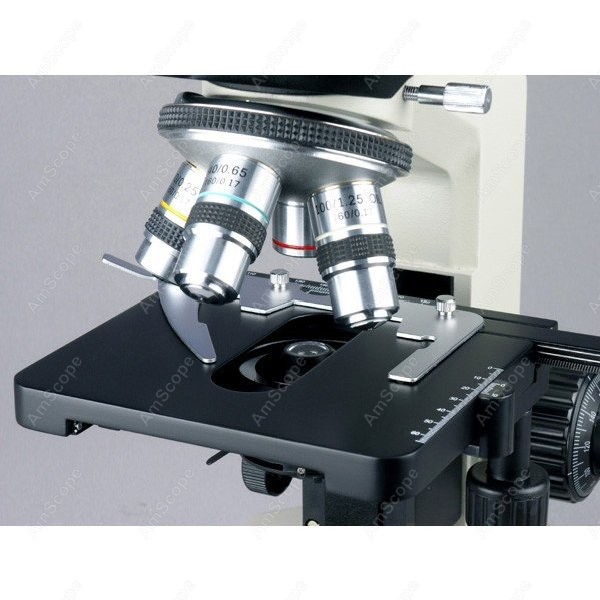 AmScope 생물학적 쌍안 복합 현미경 40X 200 - Microscope Compound 40X 리뷰 및 가격