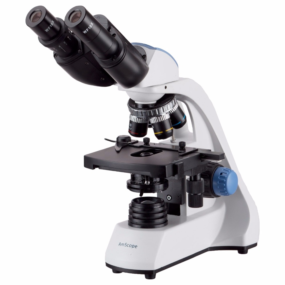 AmScope 40X-2000X LED 쌍안 복합 현미 - Microscope Compound 40X 리뷰 및 가격