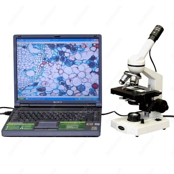 AmScope M600 시리즈 학생용 단안 복합 현미경 - Microscope Compound 40X 리뷰 및 가격