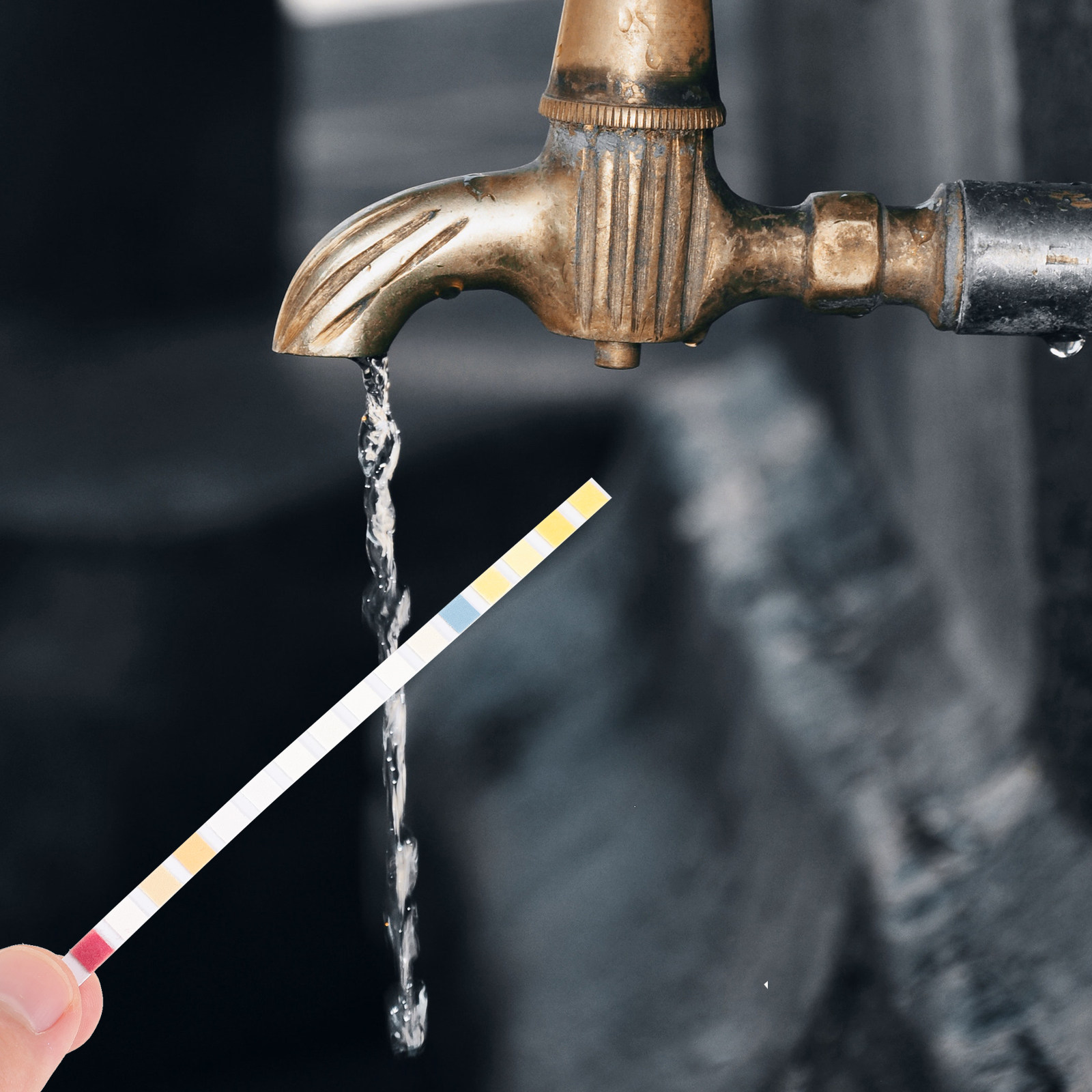 식수 품질 검사용 100개입 수질 검사 스트립, 가정용 - Water Testing Kit 리뷰 및 가격